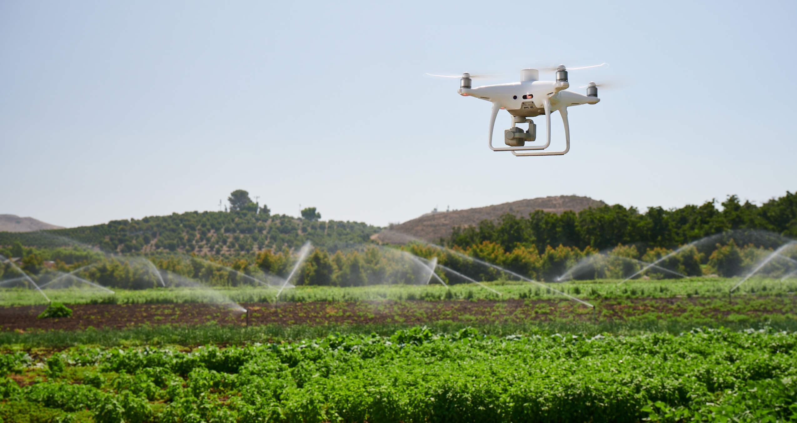 DJI P4M Multispectral for irrigation