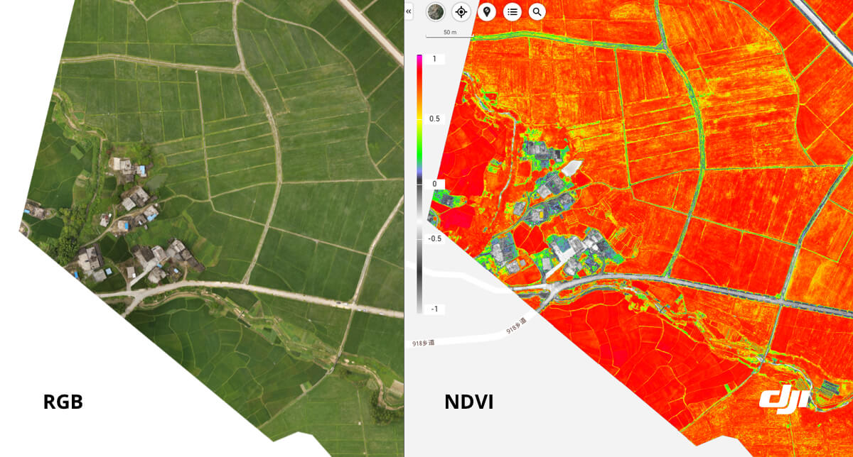 DJI P4 Multispectral Live NDVI view 