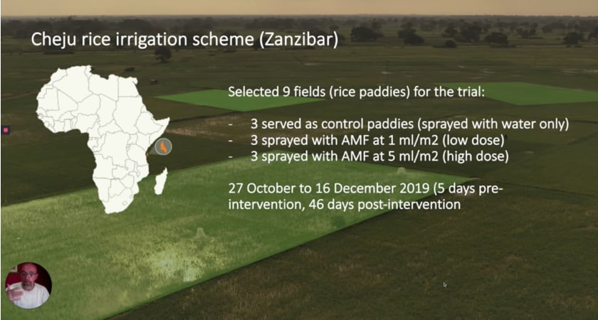 Anti-malaria experimental design slide