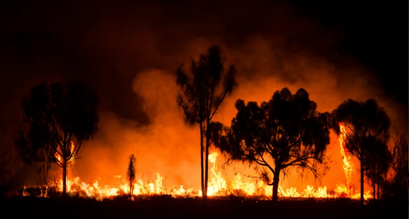 FRNSW M2EA Australia Wildfire