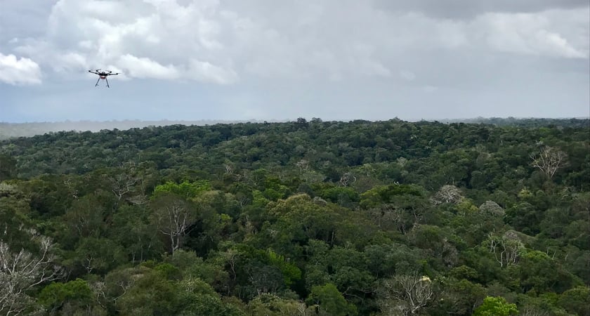 M600 Canopy Surveying