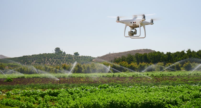 P4 Multispectral irrigation