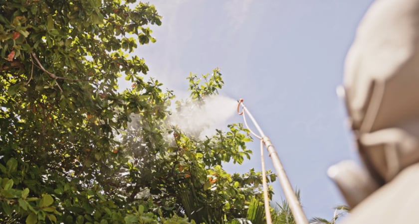 Maldives - Manual Spraying From Ground