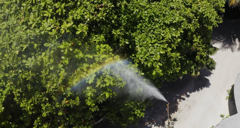 Maldives - Manual Spraying
