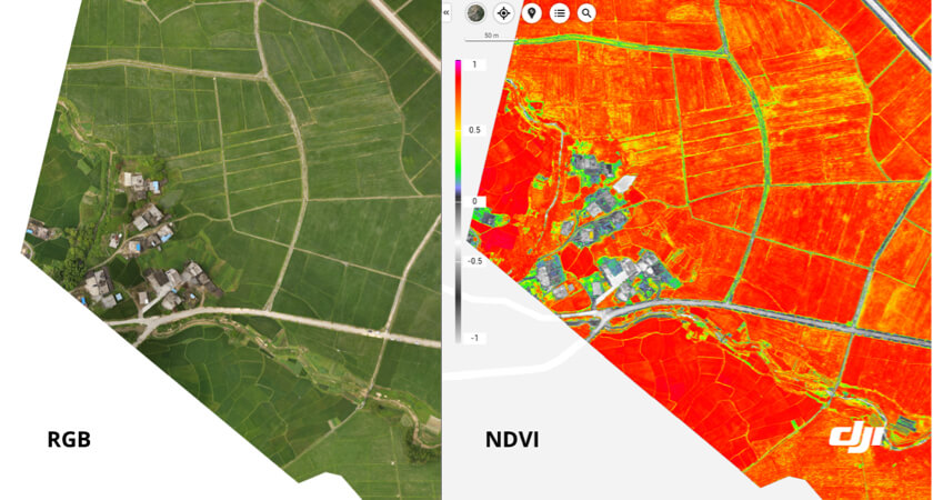 Precision Agriculture - Live NDVI View