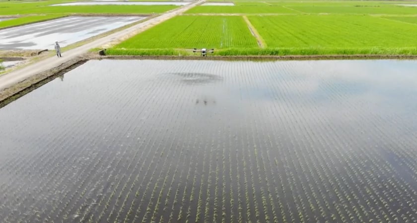 Spraying Drones - Japan