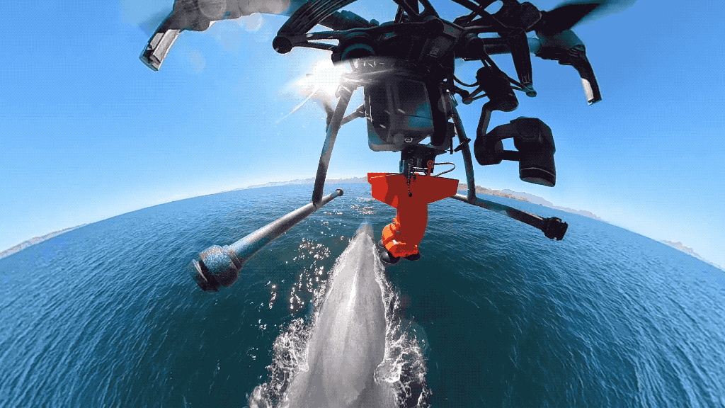 drones de conservación