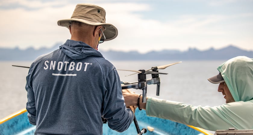 Tagging Whales From Above - SnotBot Scientists
