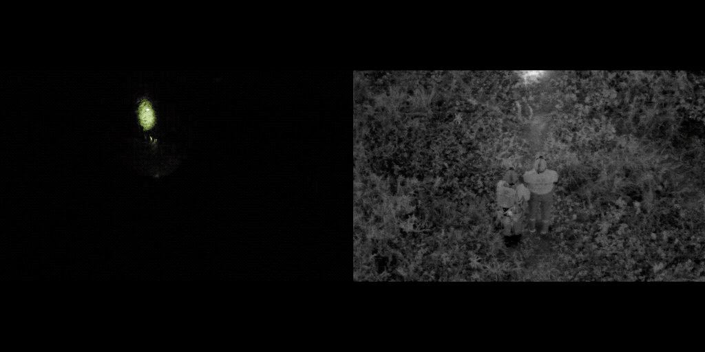 H20N Split Screen - Human Eye vs Starlight Camera