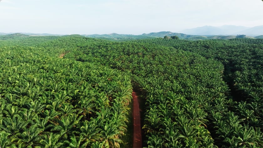 E705120F-50E2-178D-CD3D-A8D19D0074BE