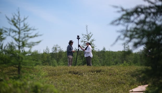 Field data collection