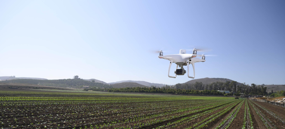 The  Phantom 4 Multispectral for precision agriculture