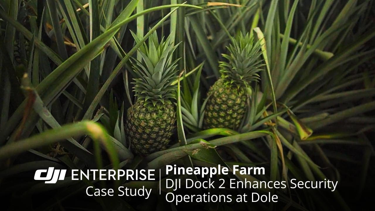 DJI Enterprise official video cover: Dole, Philippines