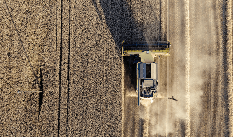 Drones offer new perspectives from above